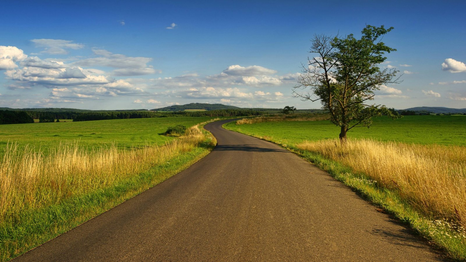 Photo of road in the middle of the grass field